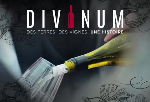 Divinum | SCHWEIZER WEINSALONDivinum